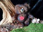 RoLü Teddy Design